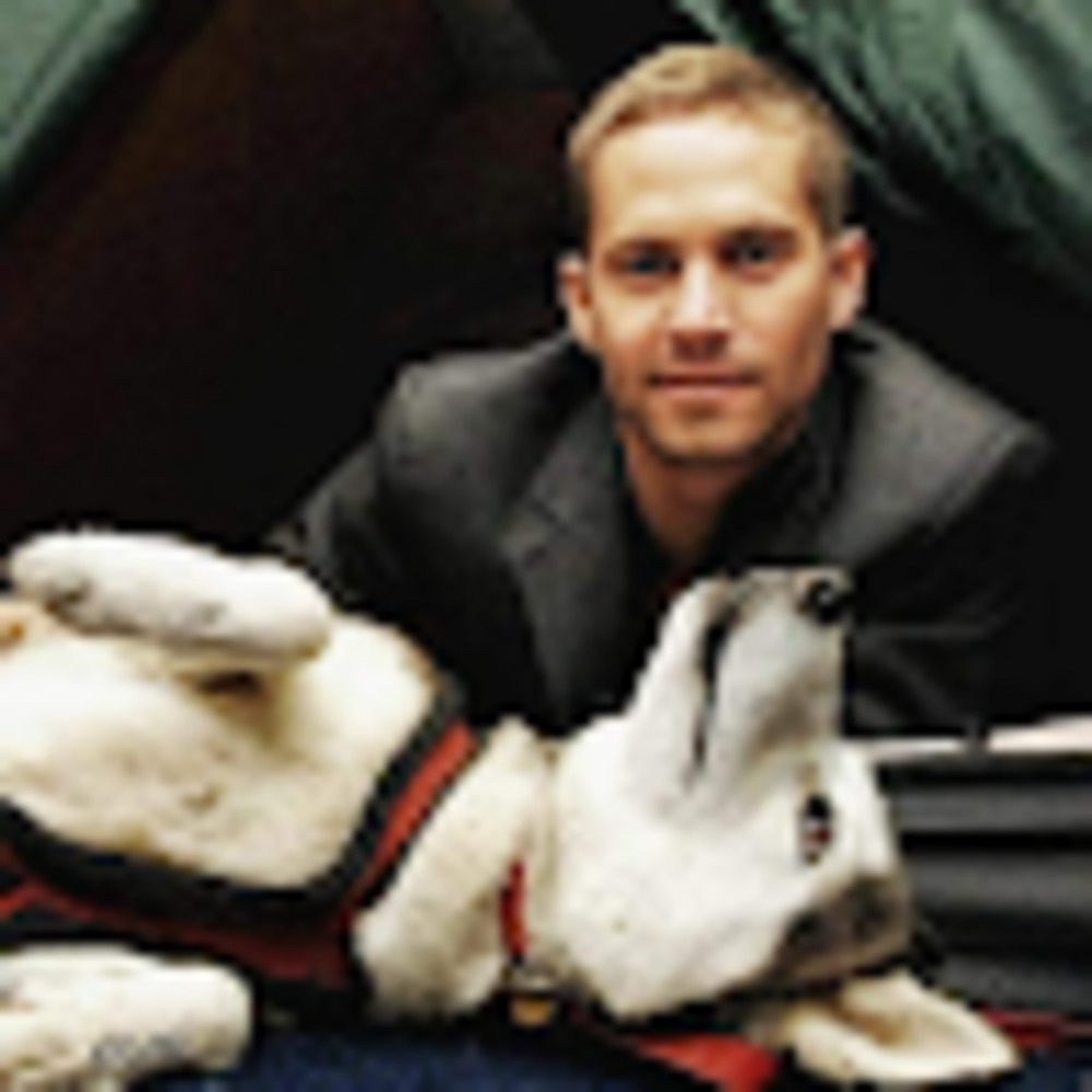 Meet your Posher, Abigail